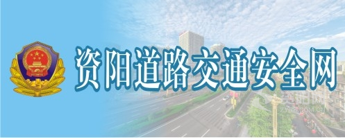 肥逼.com资阳道路交通安全网